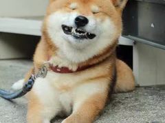 -Helens海伦司小酒馆(津湾广场店)