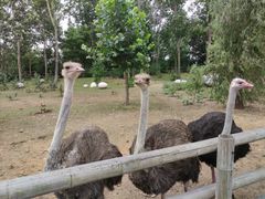 -大连森林动物园