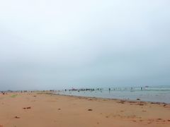 -日照海滨国家森林公园