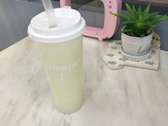 -NOBiBi