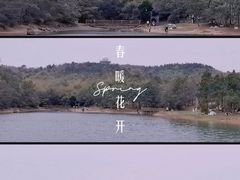 -南京市无想山景区