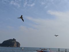 -棒棰岛宾馆景区