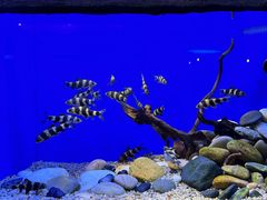 -上海海洋水族馆