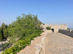 -原山国家森林公园