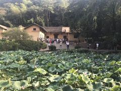 -韶山毛泽东同志故居