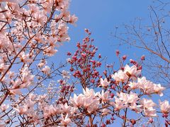 -苏州上方山国家森林公园