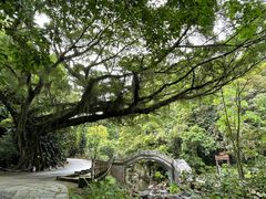 -广州市石门国家森林公园