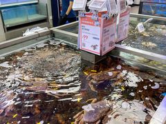 -盒马鲜生(大成店)