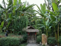 -幸福鸟生日蛋糕(临西店)
