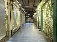 -阿尔卡特拉斯岛