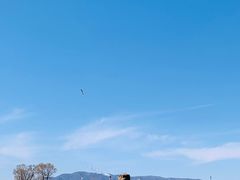 -成吉思汗公园