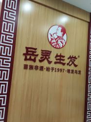 -岳灵生发养发馆