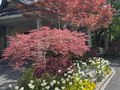 -浙江西子宾馆·瑶园咖啡厅