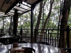 -巴倒烫陆派火锅山庄(南山总店)