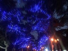 -蟹谢蒸鲜自助餐厅