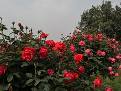 -龙寺生态园