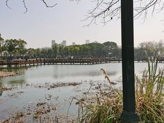 -金银湖国家城市湿地公园