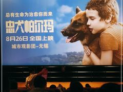 -百丽宫影城(CGS激光苏宁广场店)