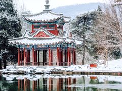 -香山公园