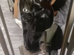 -百姓渔村(南中环店)