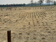 -汉长安城未央宫国家考古遗址公园