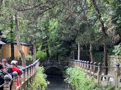 -兴福老面馆(寺路街店)