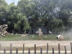 -齐齐哈尔龙沙动植物园