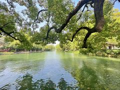 -西溪国家湿地公园