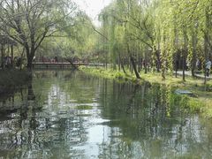 -溱湖国家湿地公园