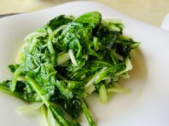 -南燕湾渔家码头