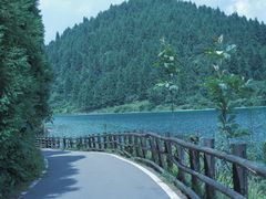 -武陵山森林公园