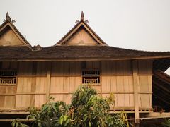 -西双版纳原始森林公园