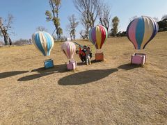 -武汉紫薇都市田园