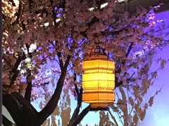 -绿茶餐厅(昌平悦荟店)