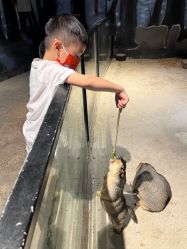 -酷嗒动物文化乐园(cutezoo西溪乐天城店)