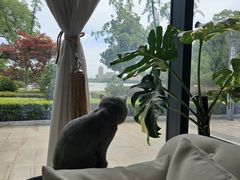 -MOMENT湖景餐厅(解放路店)
