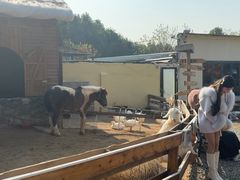 -HERRE·FARM 赫尔露营农场·团建聚会包场