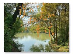 -西溪国家湿地公园