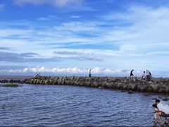 -南汇嘴观海公园