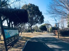 -梁鸿国家湿地公园