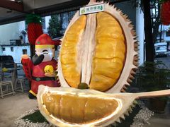 -都念榴莲·城市榴莲