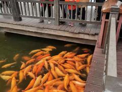 -枫香湖儿童公园