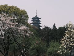 -宜兴龙背山森林公园