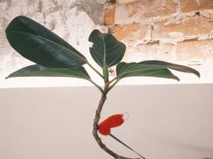 -稻田秋(怡美广场店)