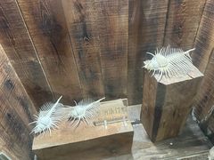 -杭州长乔极地海洋公园