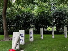 -陈家山荷花公园