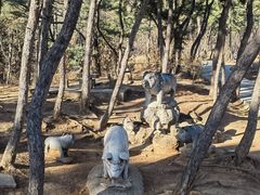 -红螺寺