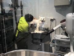 -PETKIT 小佩宠物·德文赛凯猫舍