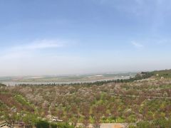 -古柏渡飞黄旅游区