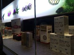 -韩国多愿护肝宝(韓國護肝寶)